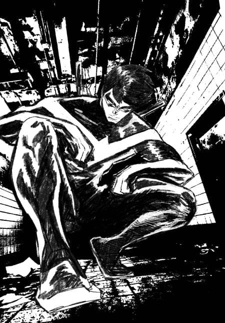 Cover für Nightwing