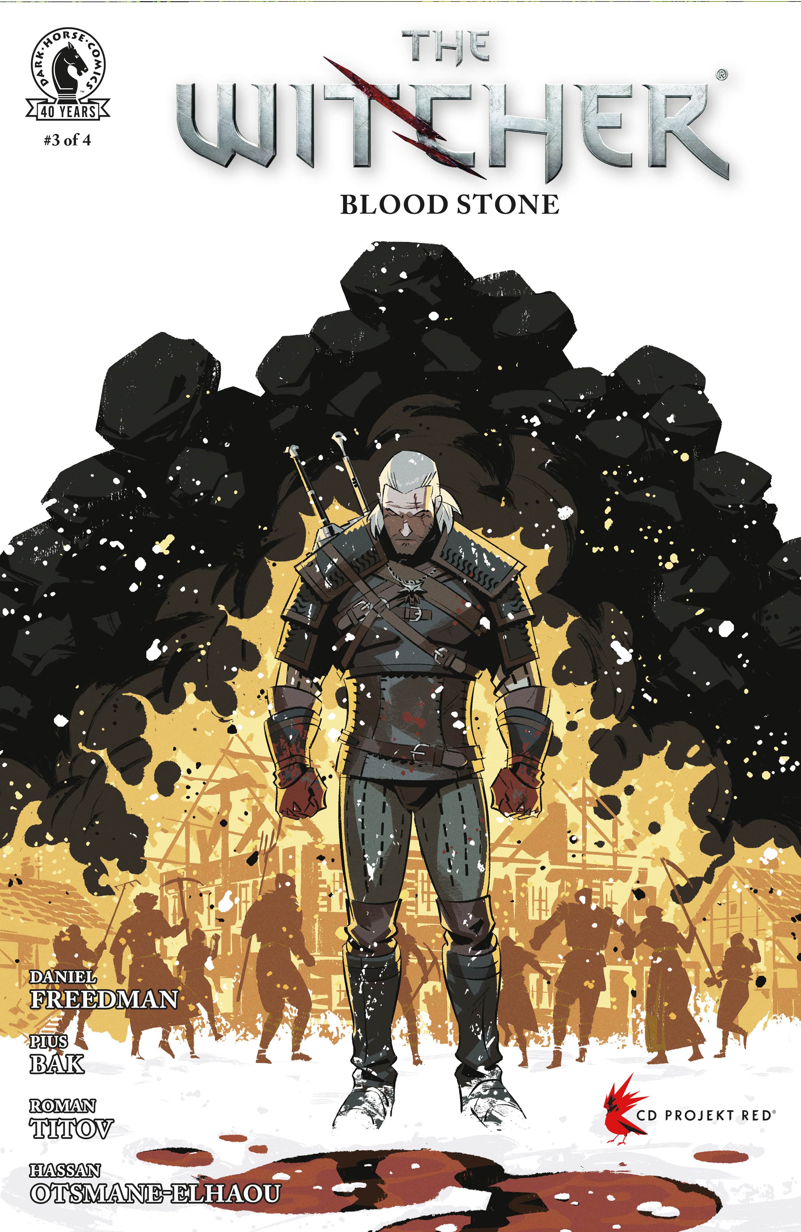 The Witcher: Blood Stone Cover