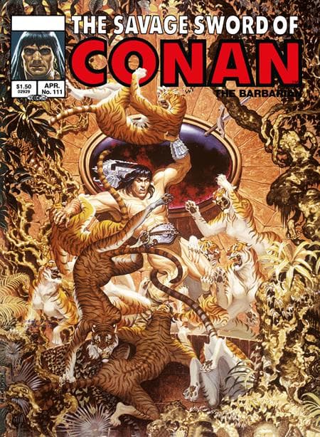 Cover für SAVAGE SWORD OF CONAN ORIGINAL COMICS OMNIBUS VOL 08 REGULAR EDITION STEPHEN HICKMAN (MR)