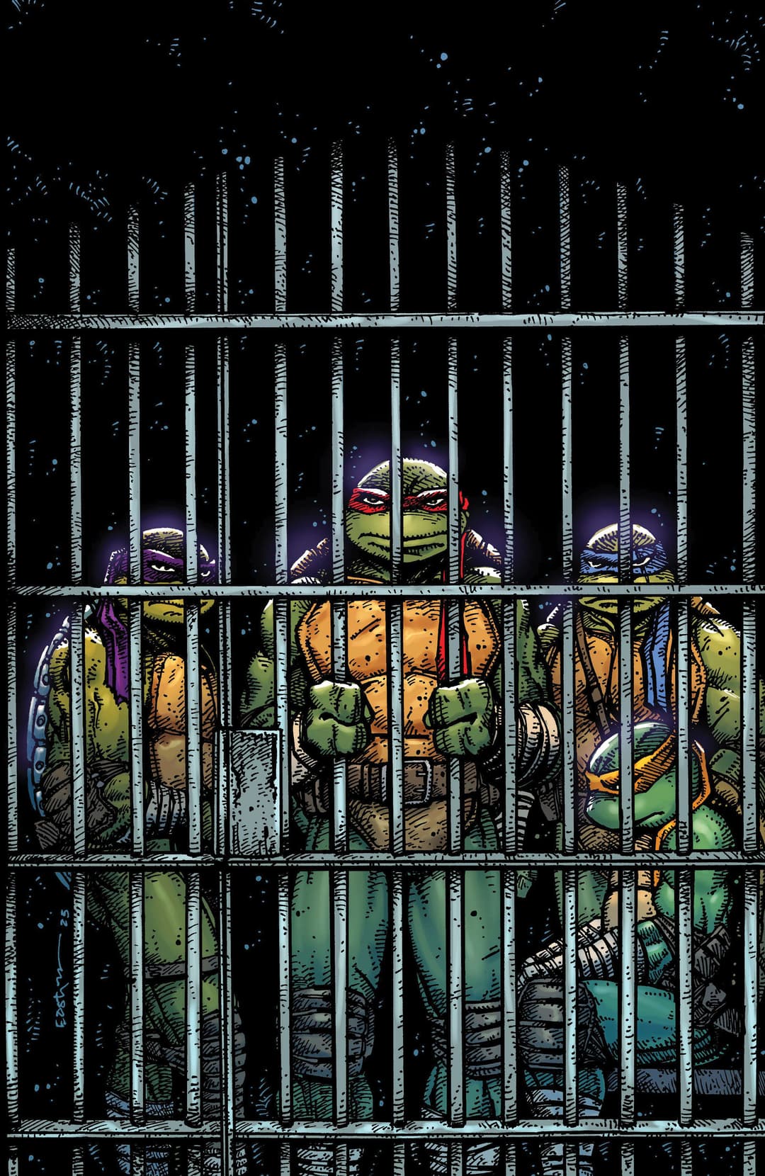 Cover für Teenage Mutant Ninja Turtles (2024)