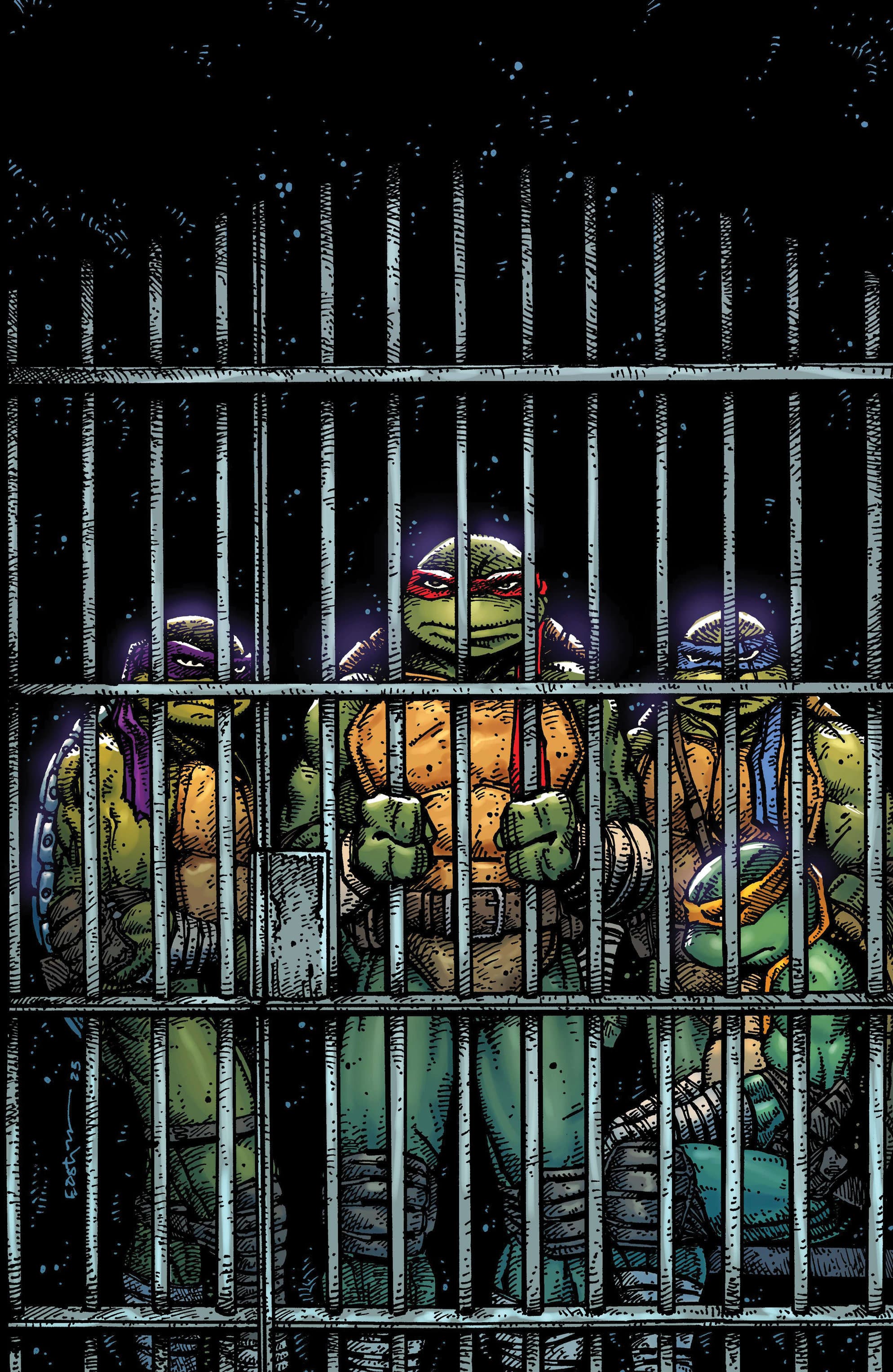 Cover für Teenage Mutant Ninja Turtles (2024)