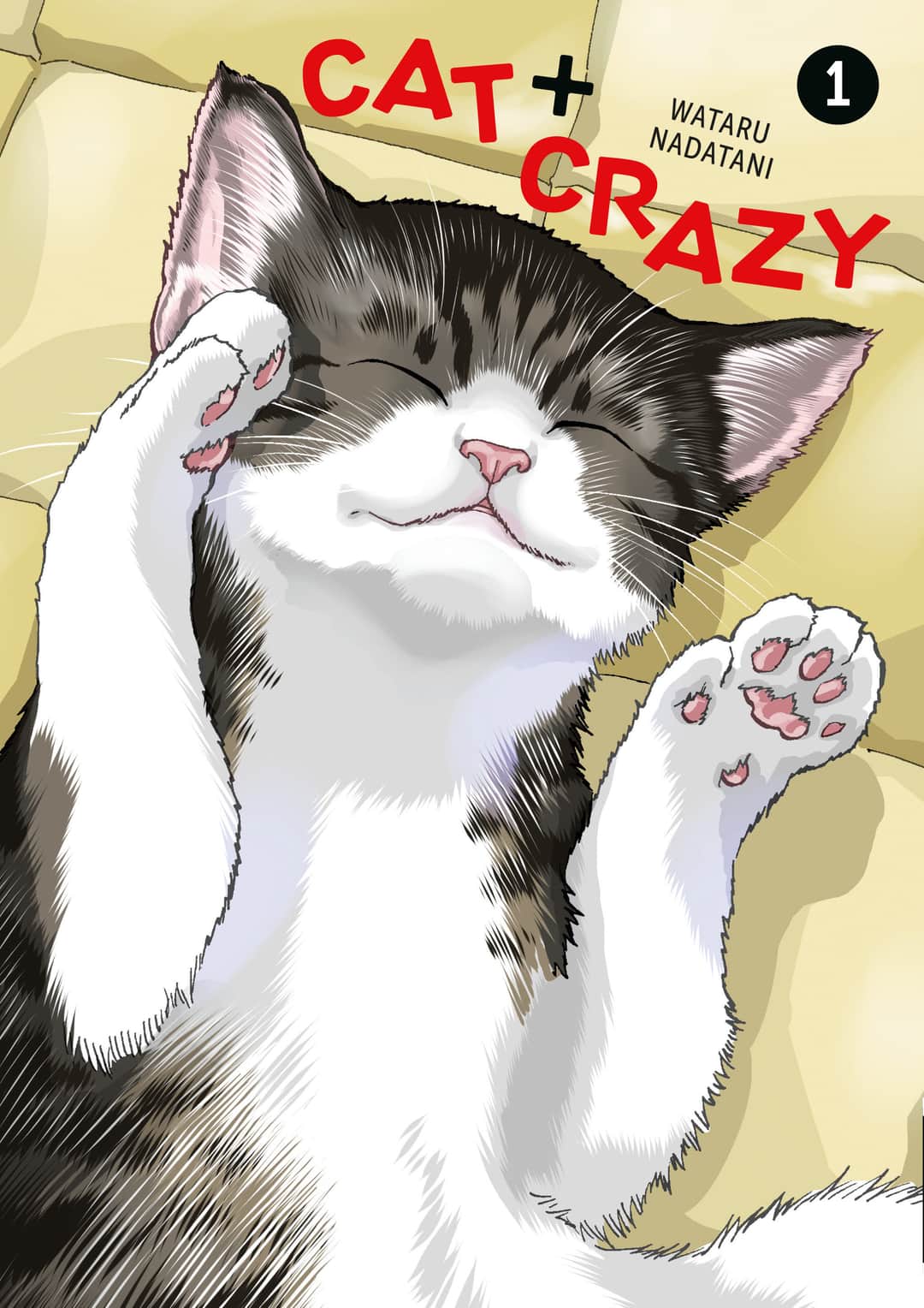 Cat + Crazy Volume 1 Cover