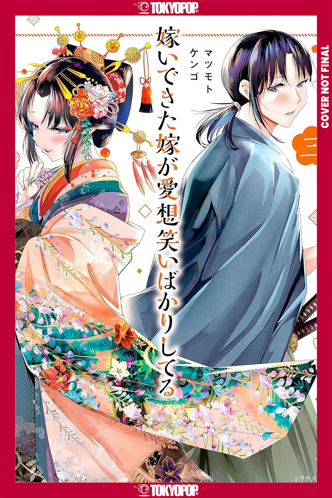 My New Wife's Fake Smile, Volume 3 Cover
