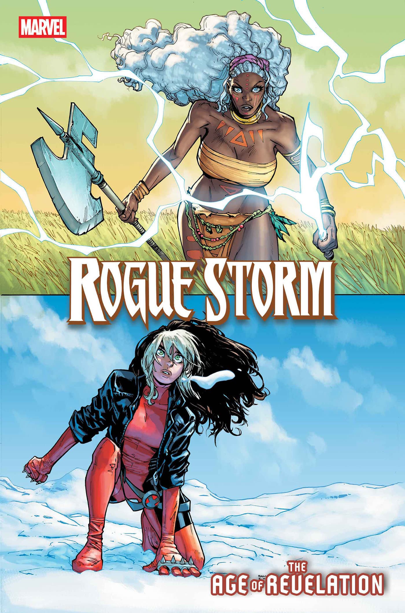 Cover für ROGUE STORM