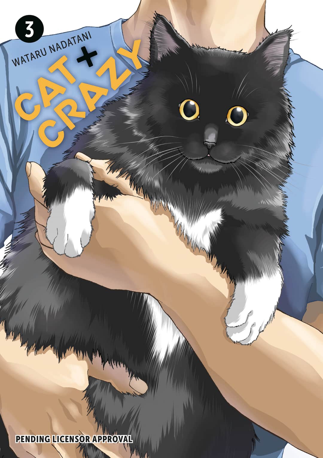 Cat + Crazy Volume 3 Cover