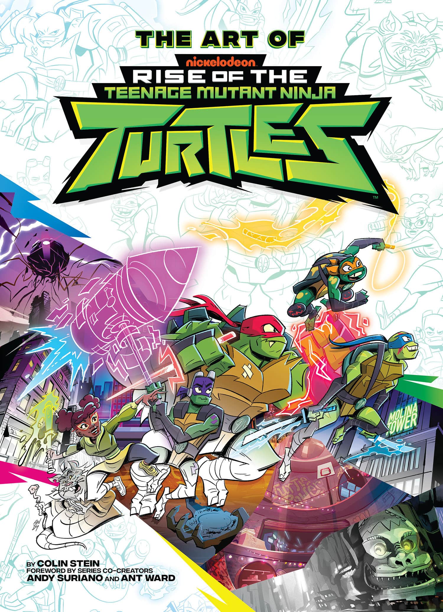The Art of Rise of The Teenage Mutant Ninja Turtles Cover