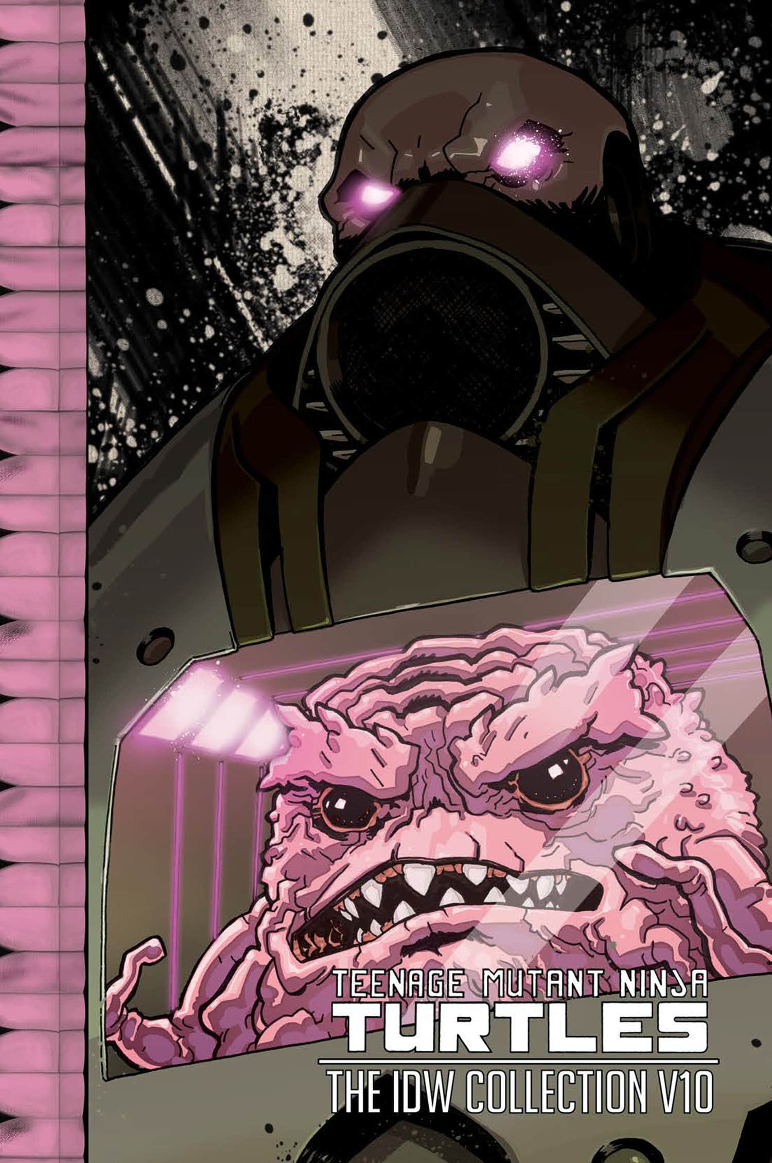 Teenage Mutant Ninja Turtles: The IDW Collection Volume 10 Cover