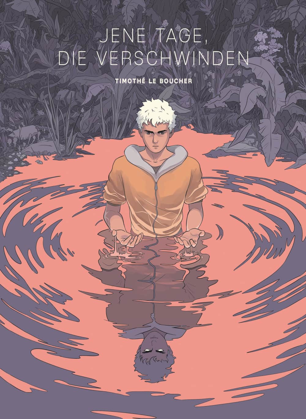 Jene Tage, die verschwinden Cover