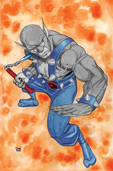 Cover für Thundercats