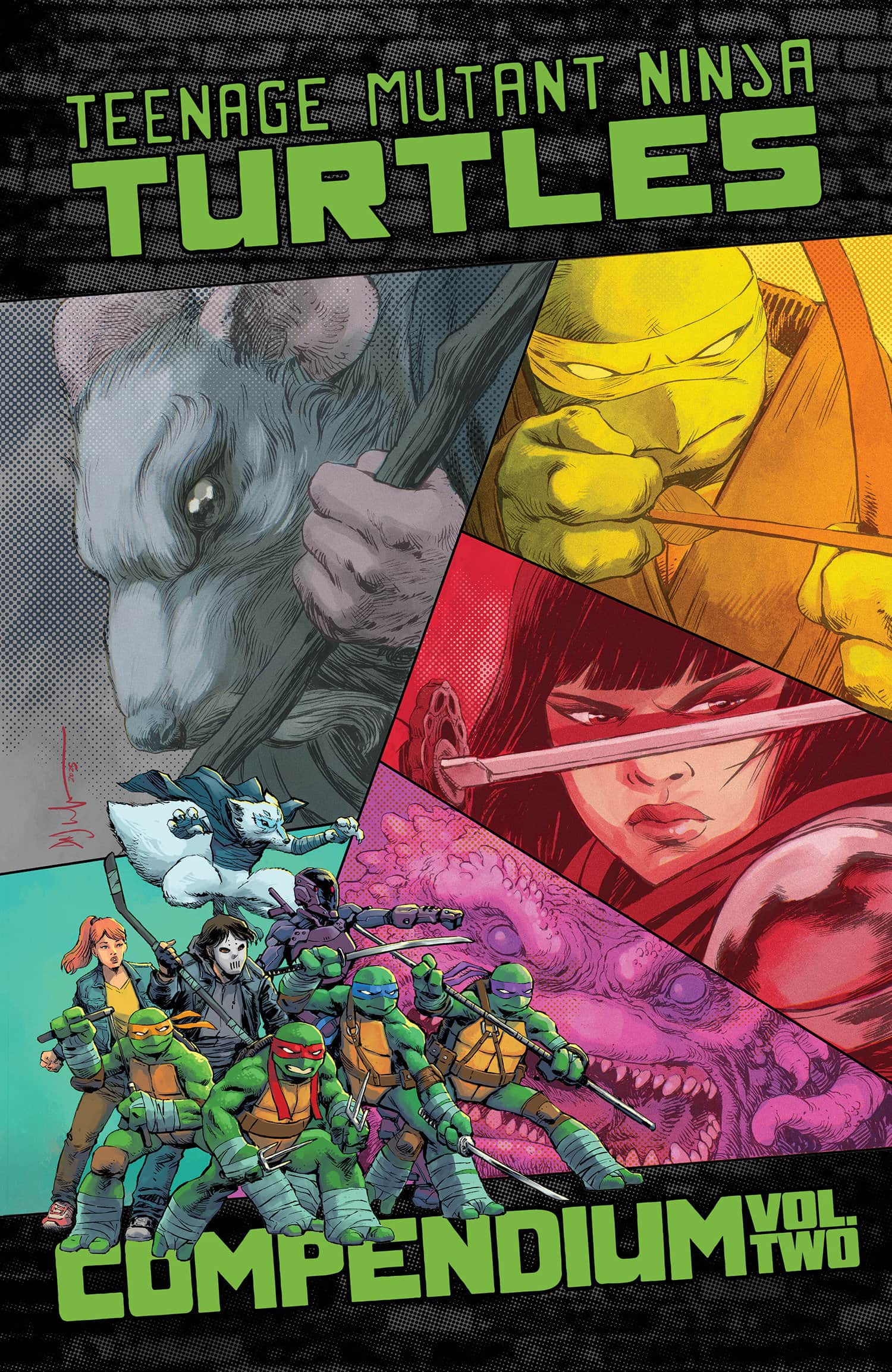 Teenage Mutant Ninja Turtles: Ongoing Compendium, Vol. 2 Cover