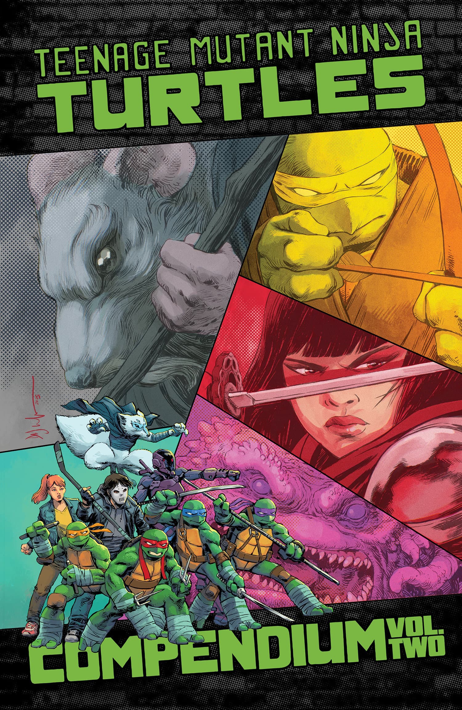 Cover für Teenage Mutant Ninja Turtles: Ongoing Compendium, Vol. 2
