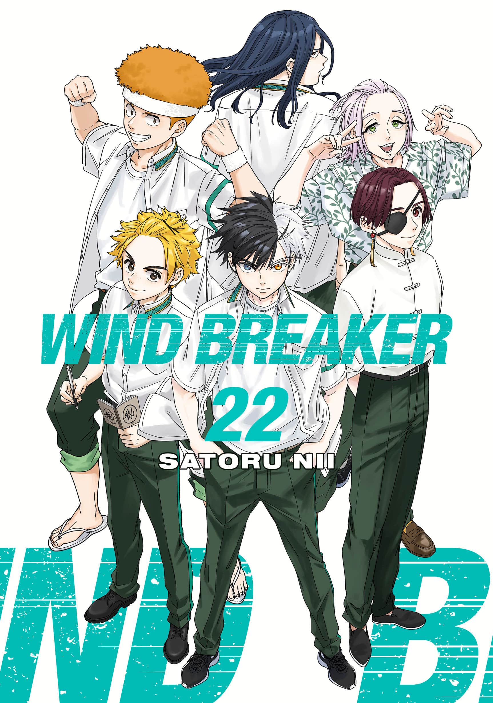 WIND BREAKER Cover