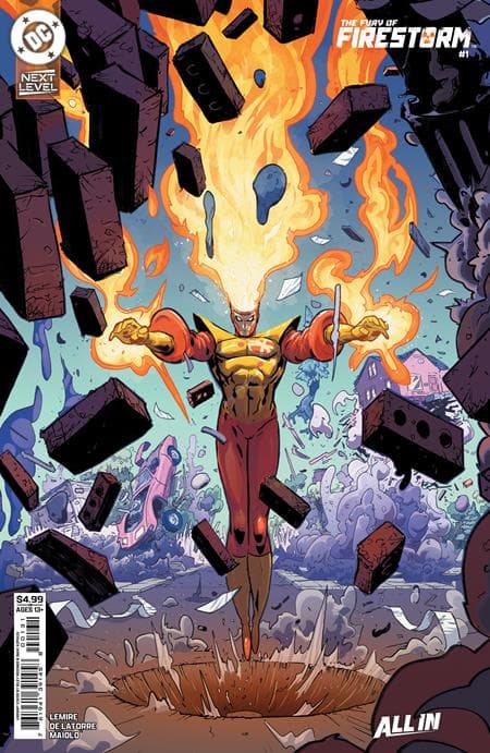 Cover for Fury of Firestorm