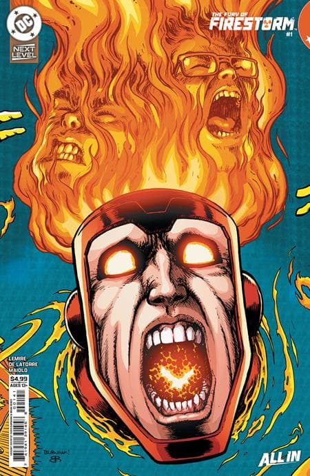 Cover for Fury of Firestorm