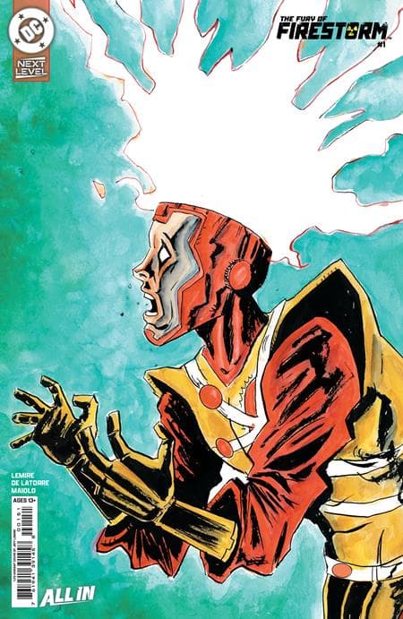 Cover for Fury of Firestorm