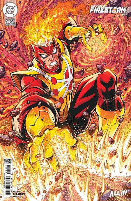 Cover for Fury of Firestorm
