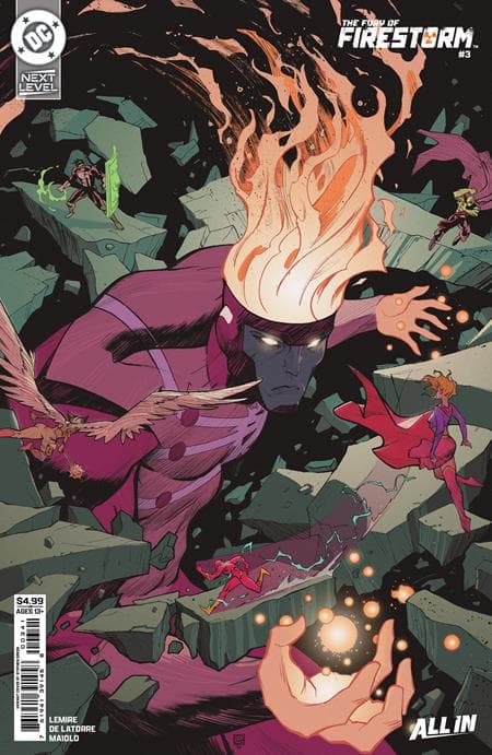 Cover for Fury of Firestorm