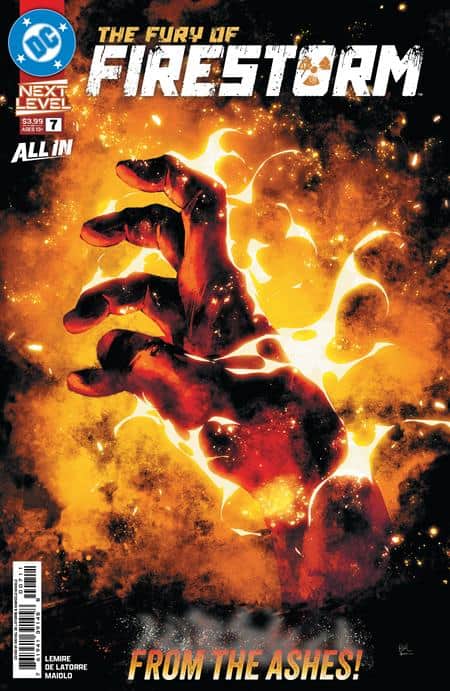 FURY OF FIRESTORM Cover