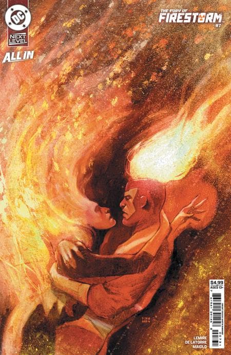 Cover for FURY OF FIRESTORM